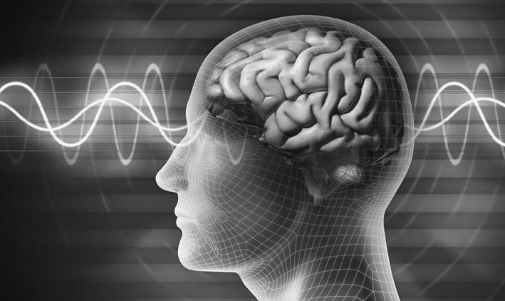 La teoría de la reserva cognitiva y la&nbsp;neurogénesis