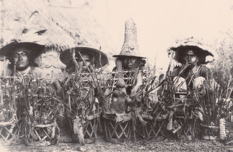 La teoría sintérgica de&nbsp;Grinberg