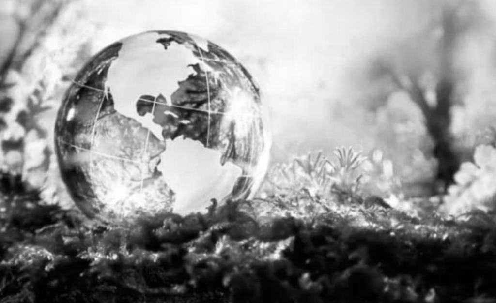 La omnipresencia de la vida microbiótica y la&nbsp;biogeoquímica