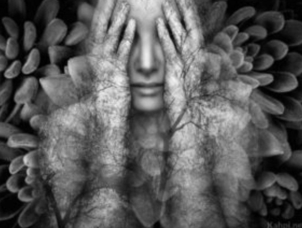 Psicodélicos tipo Ayahuasca en los procesos cognitivos e inducciones mentales (RMD y&nbsp;TEPT)