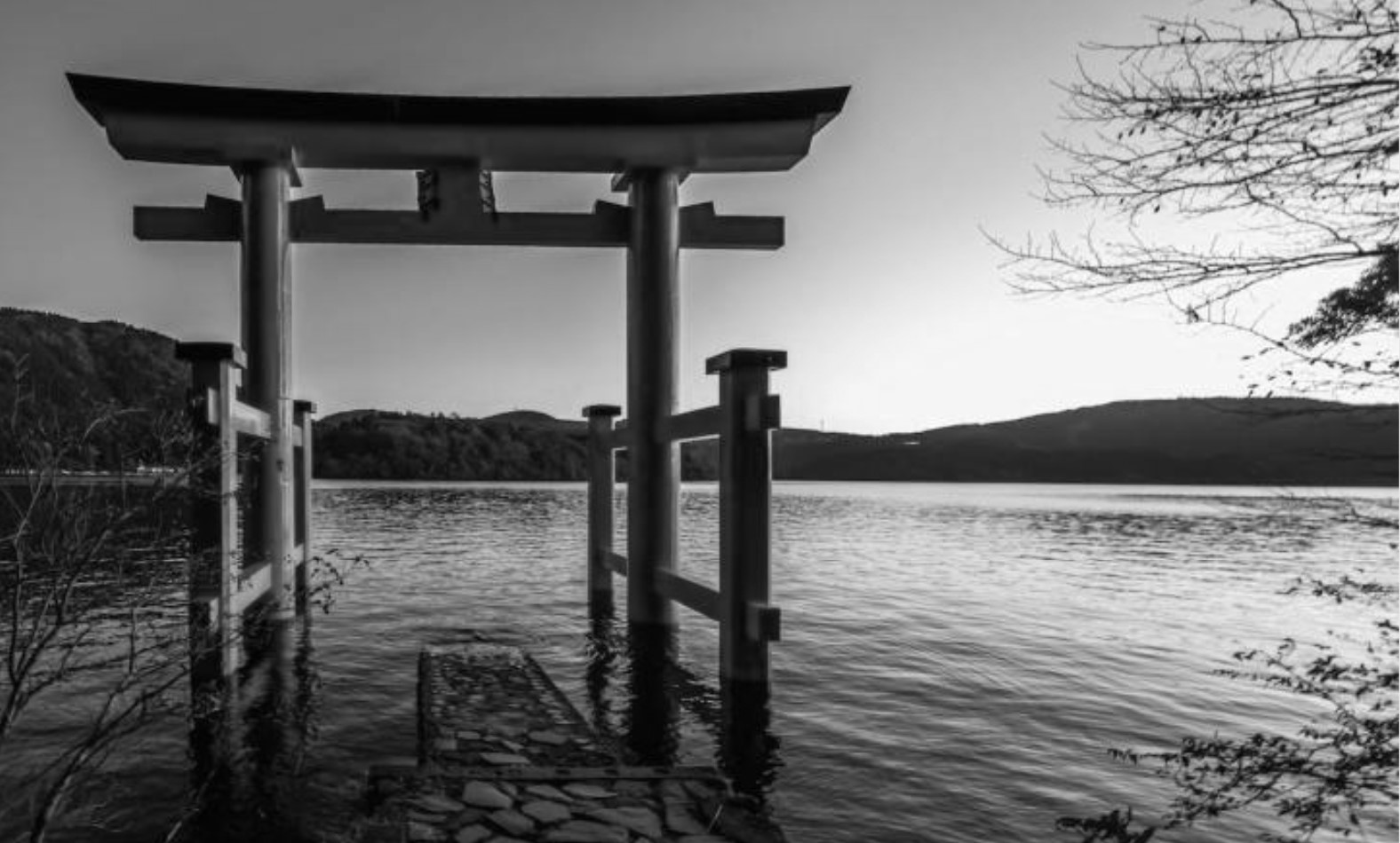 Encuentra tu «Ikigai» o propósito de vida. El equilibrio de los cuatro elementos