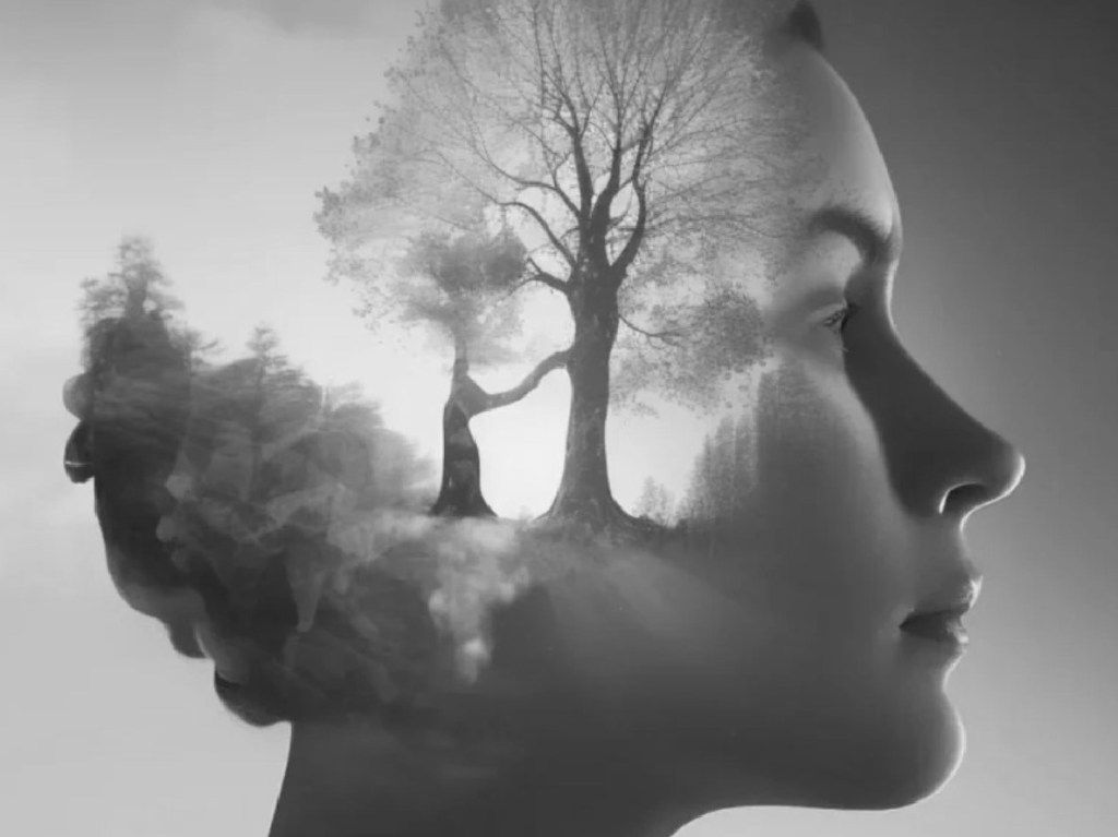 Las Constelaciones Familiares: impacto de los patrones repetitivos y beneficios&nbsp;terapéuticos