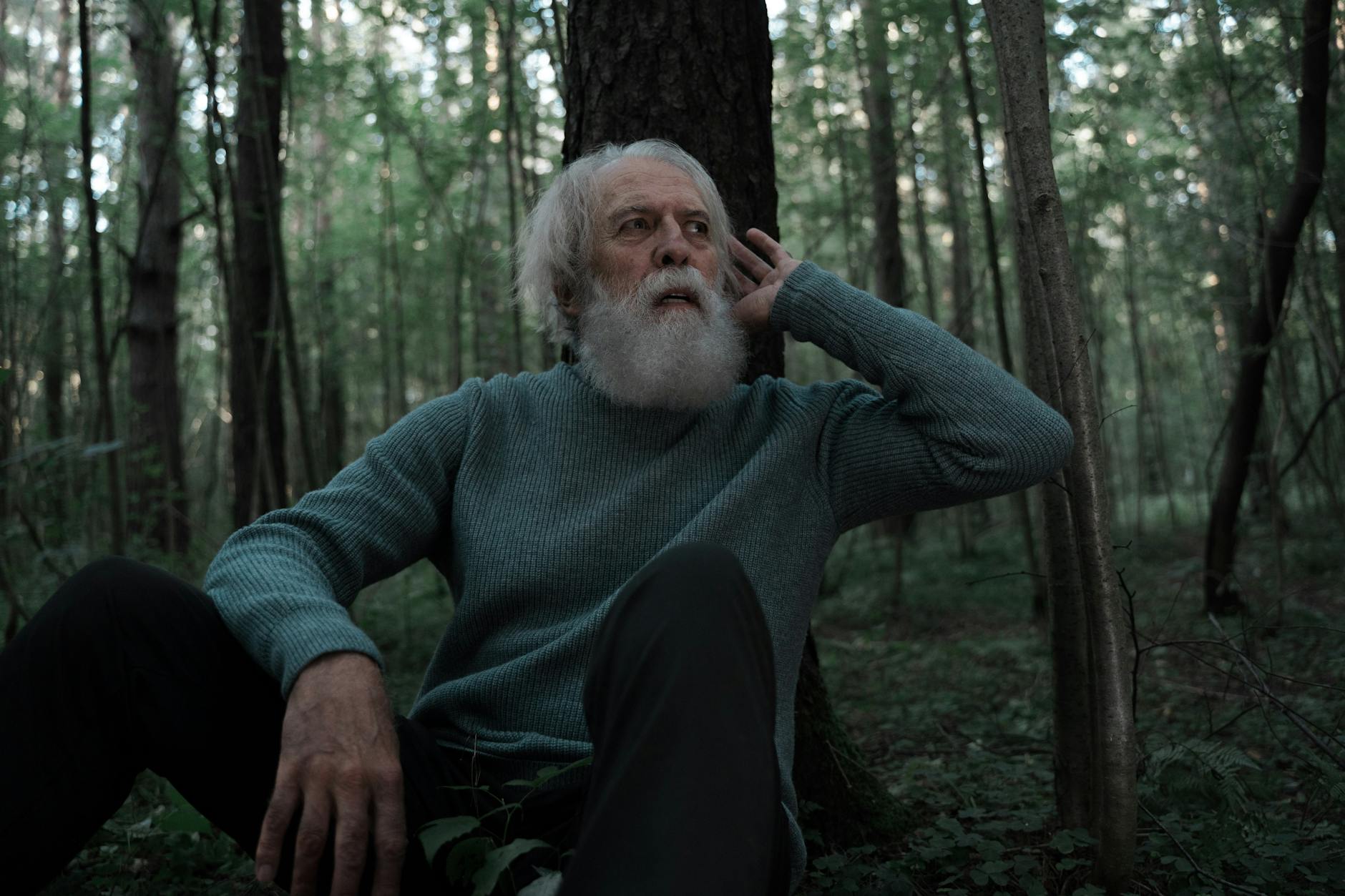 Gramática Secreta del Bosque: Crónica de un Hereje que aprendió a leer el Aire, la Raíz y el Relámpago